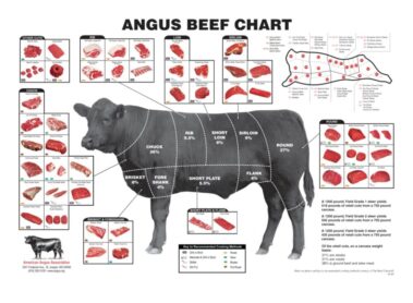 beef cuts